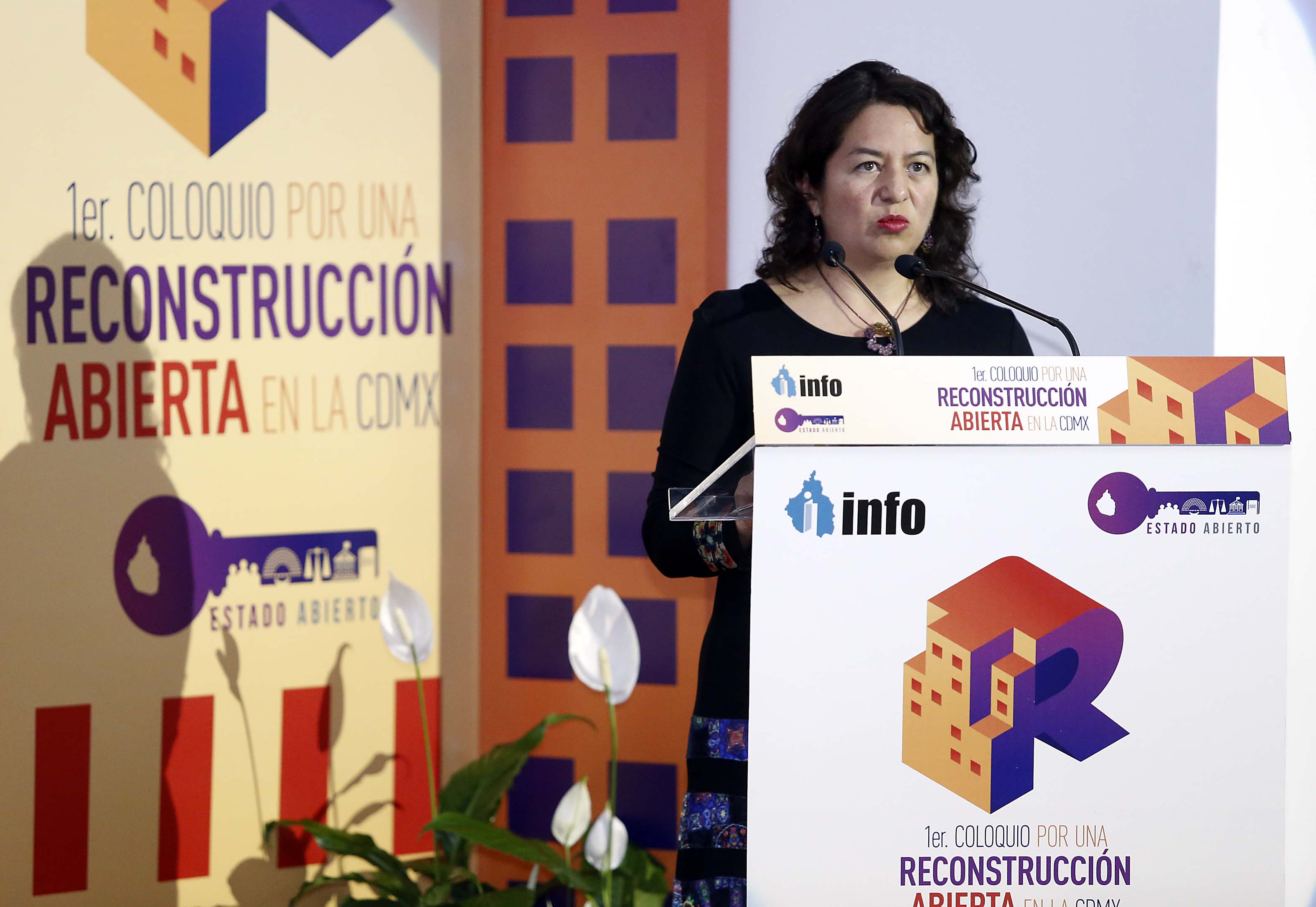 Comisionada María del Carmen Nava Polina